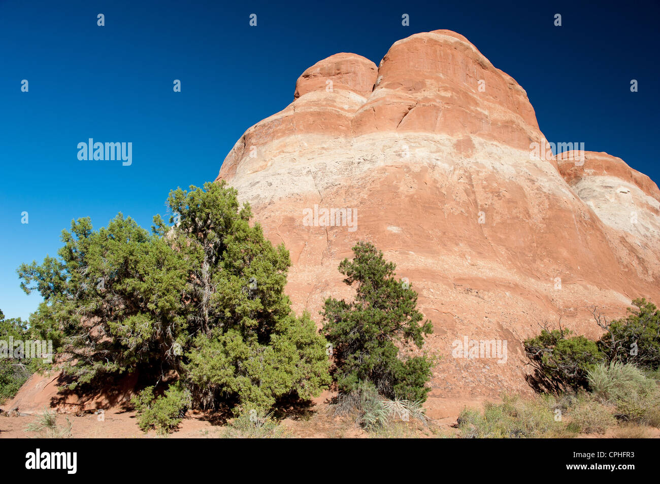 Le formazioni rocciose nel Parco Nazionale di Arches, Utah, Stati Uniti d'America Foto Stock