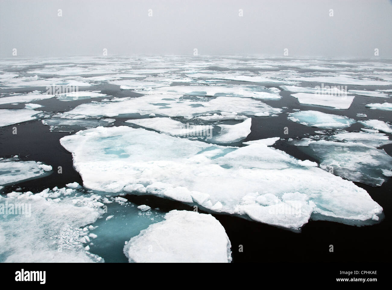 Pack ghiaccio intorno 81 gradi Oceano Artico Spitsbergen in Norvegia Foto Stock