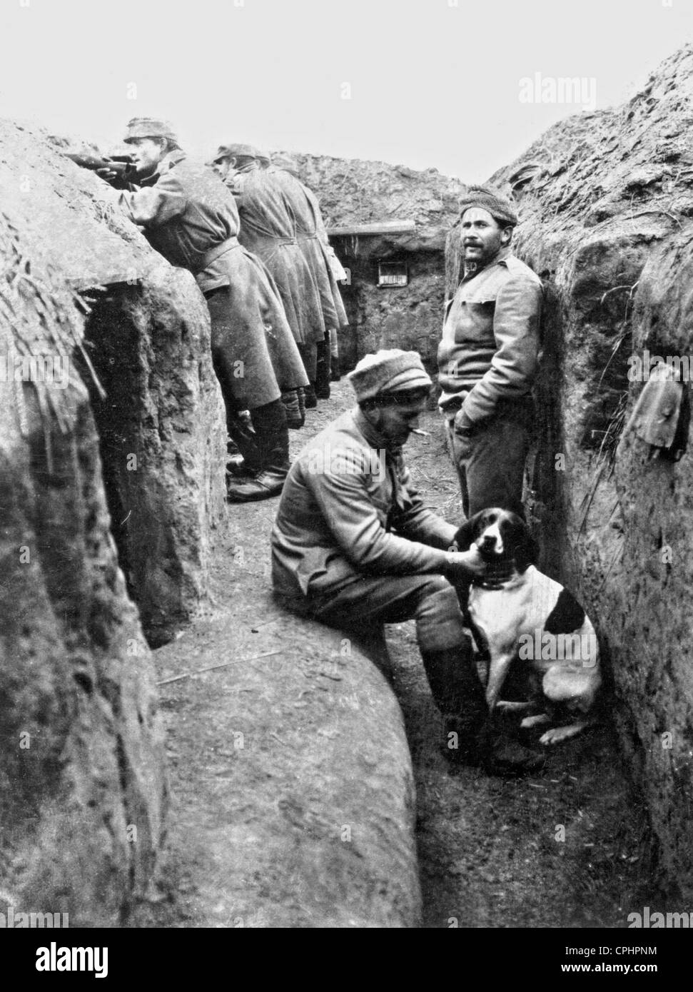 Soldati con reggimento cane, 1915 Foto Stock Soldati con reggimento cane, 1915 Foto Stock