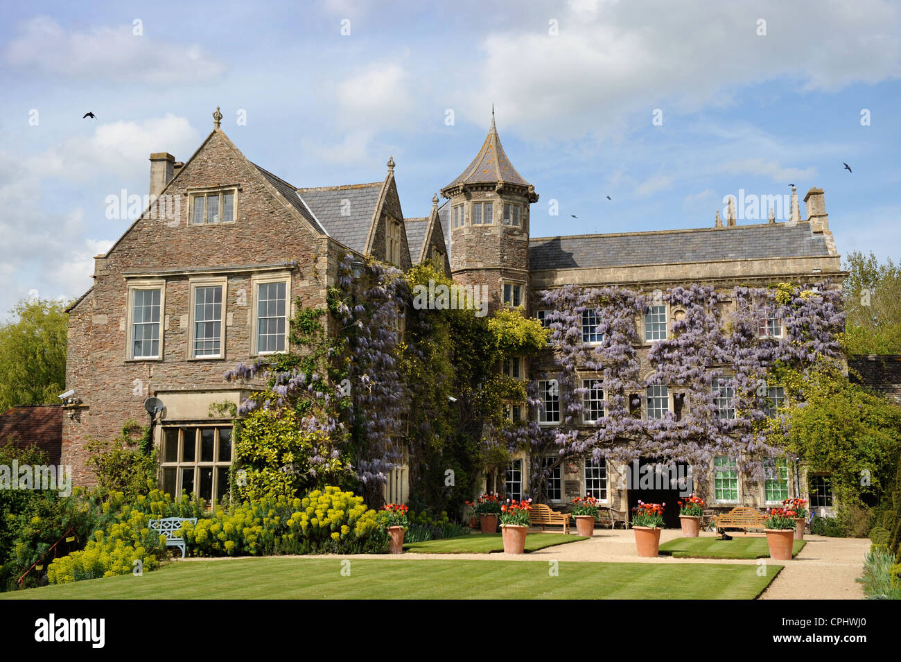 Hanham Court Gardens Near Bath, casa del giardino designer Julian e Isabel Bannerman Aprile 2009 Foto Stock