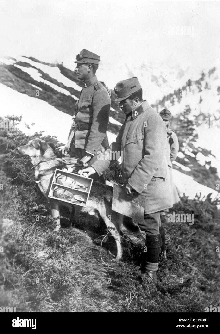 Soldati austriaci con piccioni viaggiatori, 1918 Foto Stock