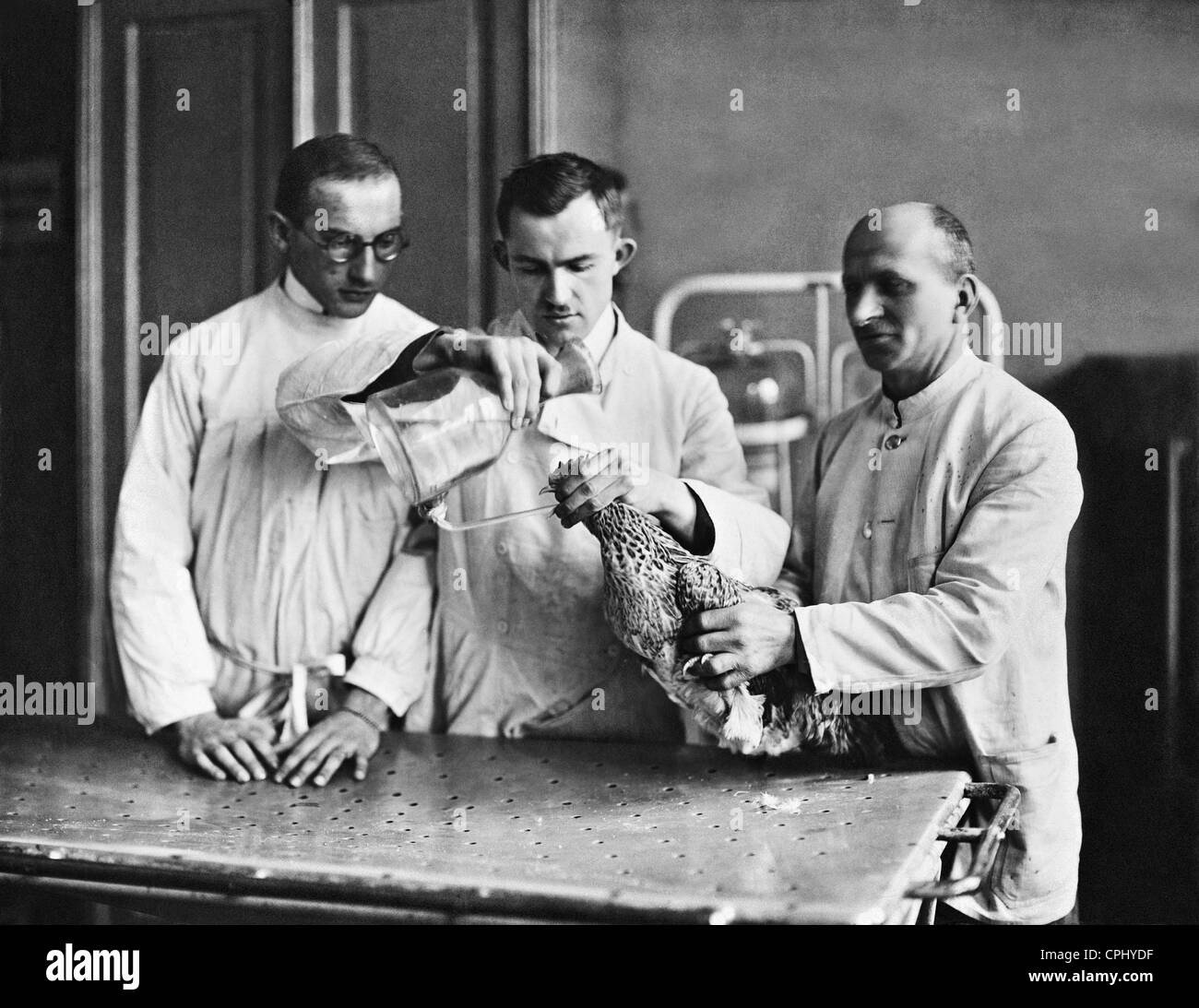 Il trattamento di un pollo, 1922 Foto Stock