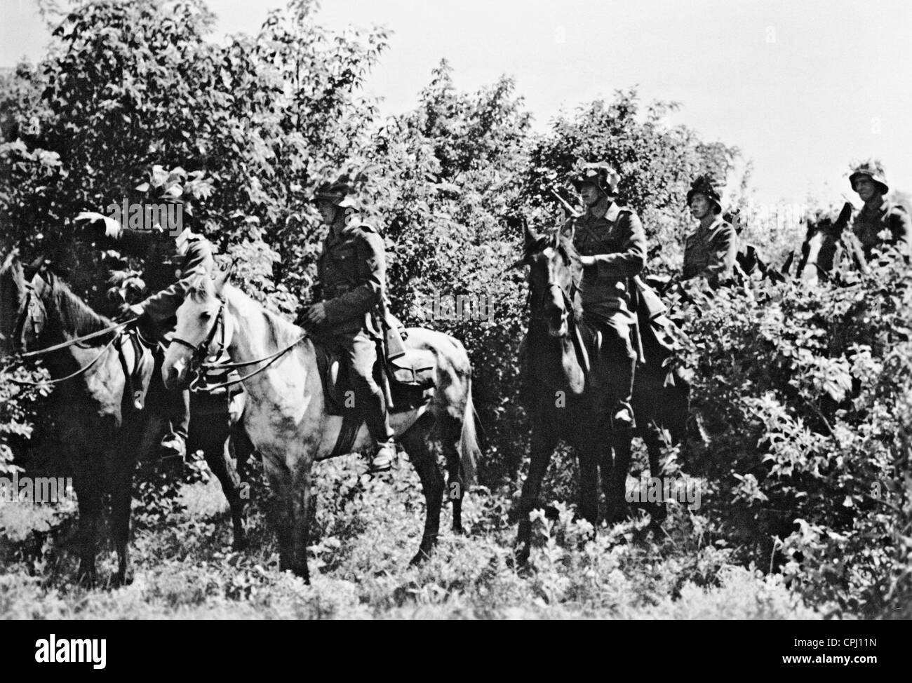Le reclute di uno squadrone di cavalleria ricognizione pratica dietro il fronte orientale vicino Karlivka sul donec. Foto Stock