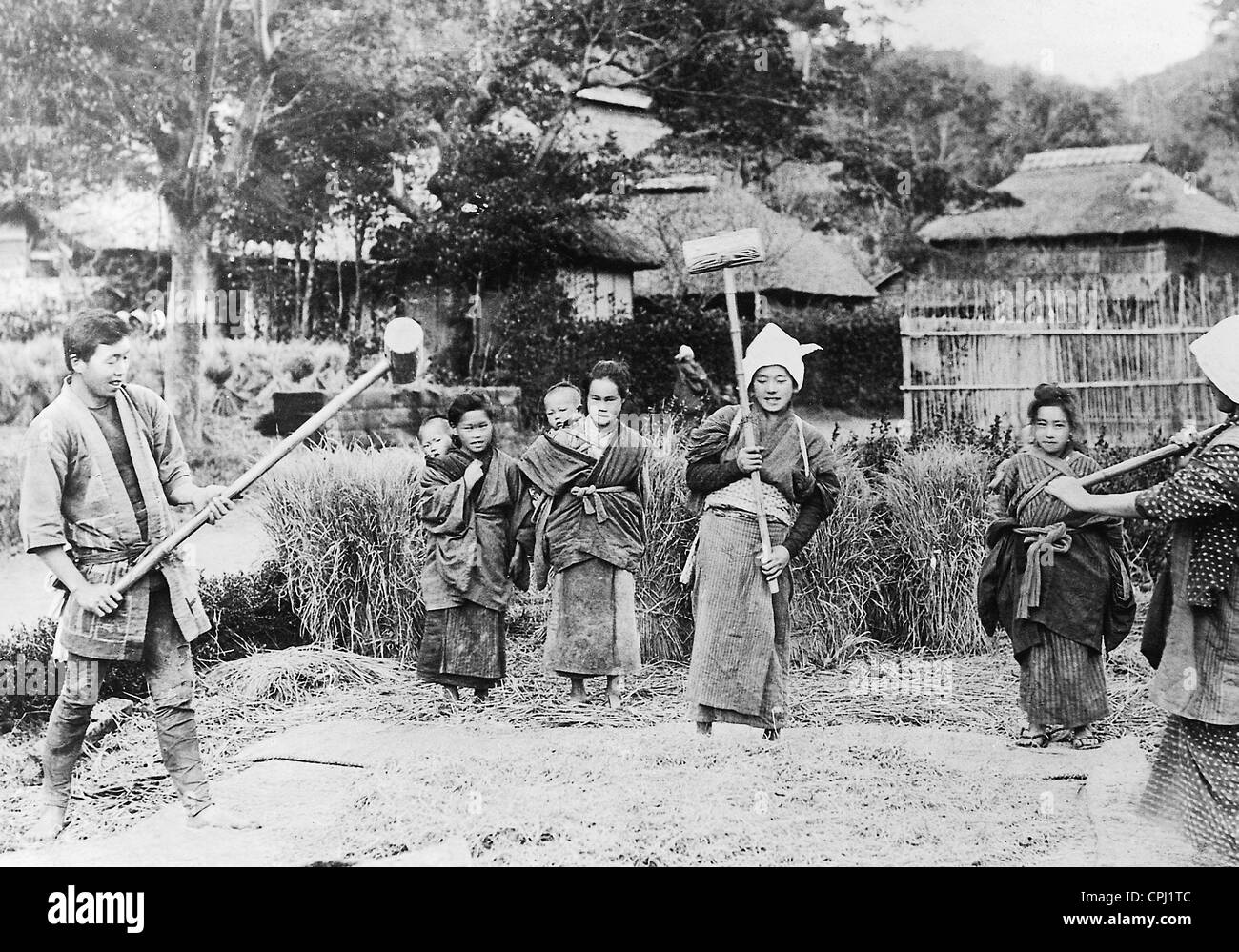 La trebbiatura del riso, 1938 Foto Stock