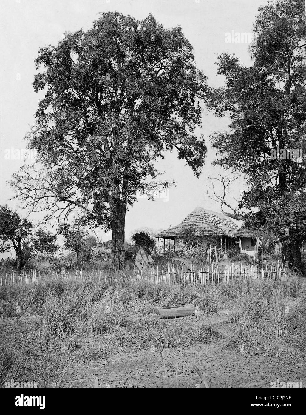 Ongina in Ovamboland, 1903 Foto Stock