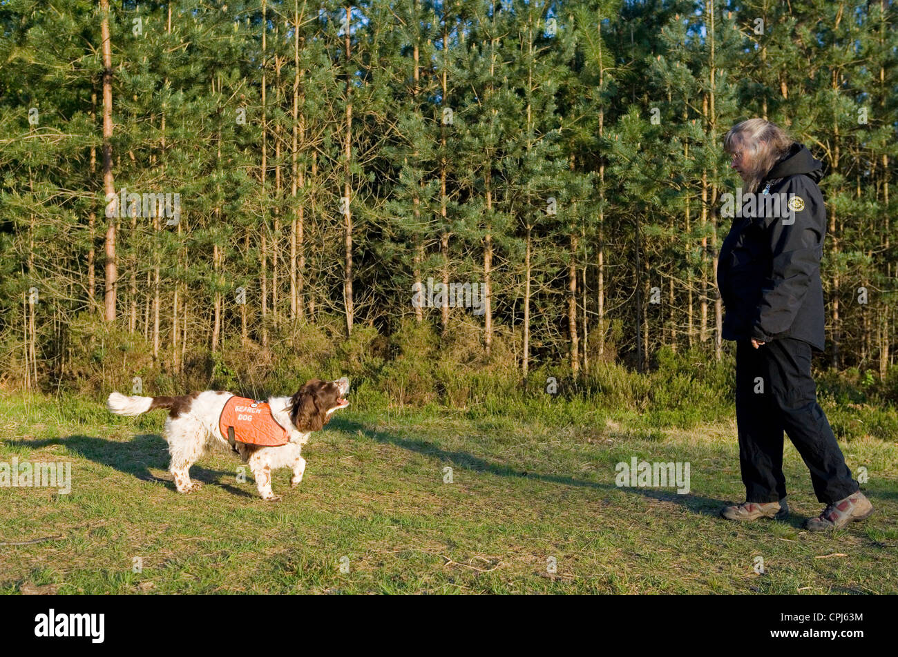 La ricerca e il salvataggio del cane adulto singolo proprietario di avviso REGNO UNITO Foto Stock