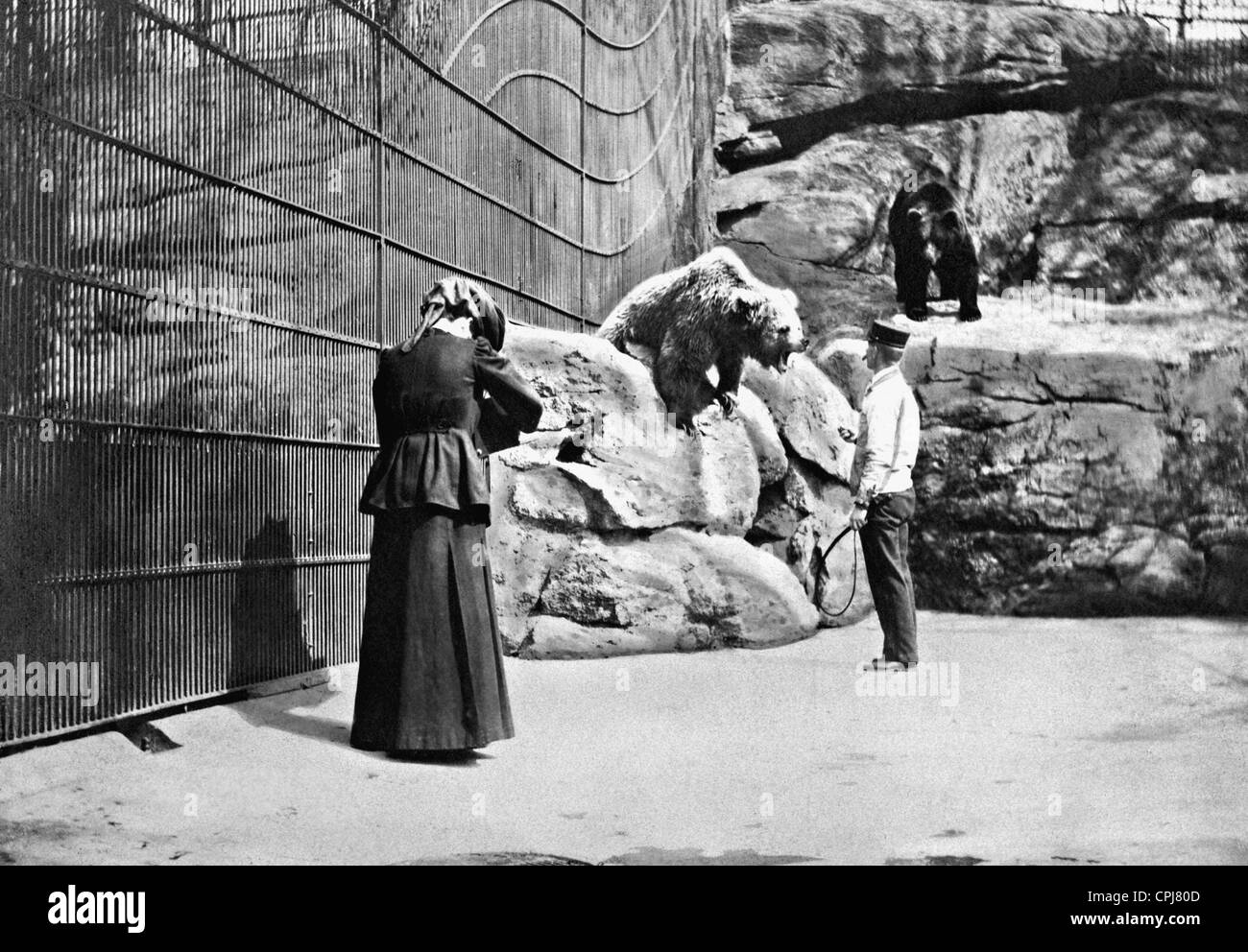 Fotografo nella gabbia di recare a New York al giardino zoologico, 1905 Foto Stock