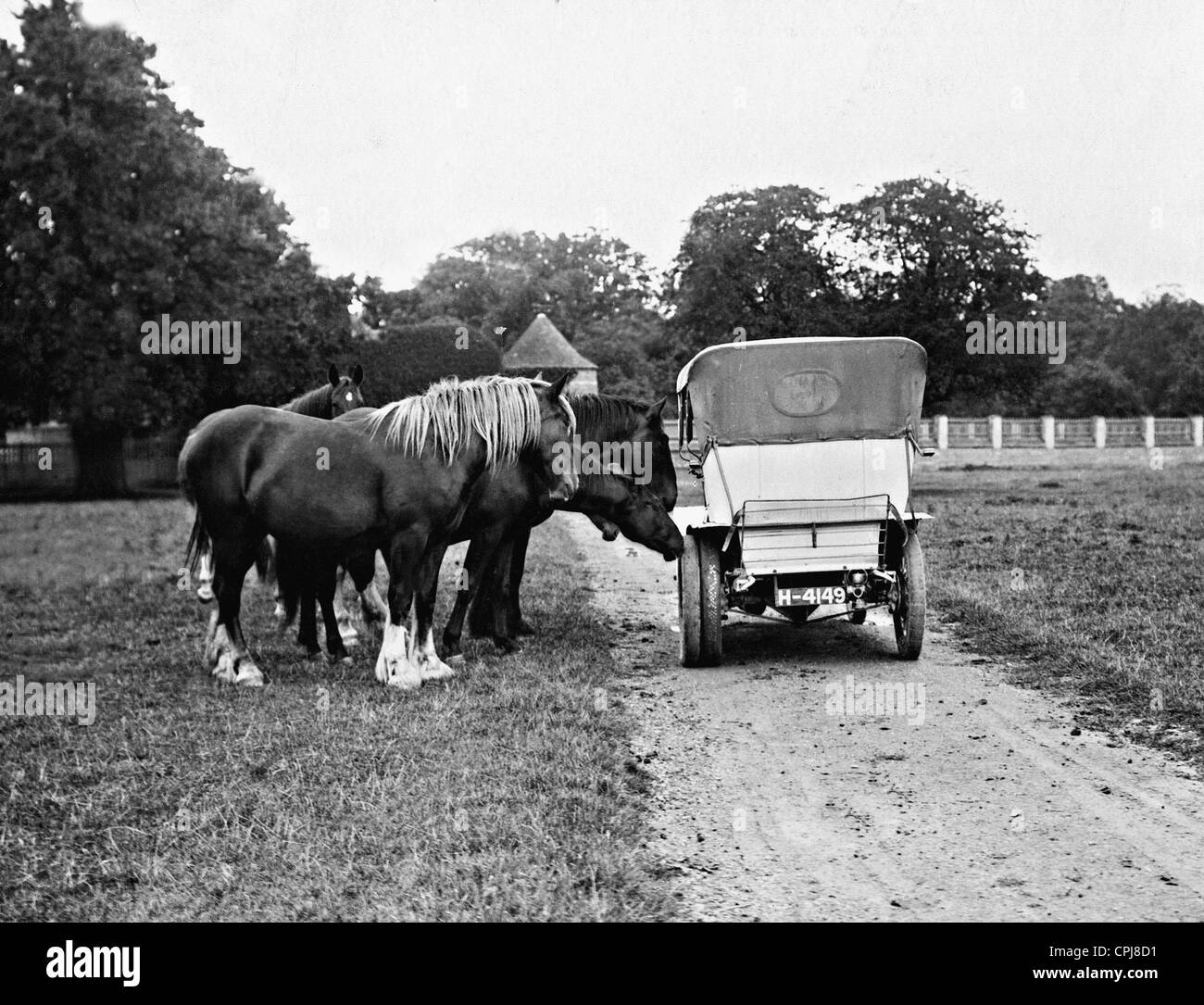 I cavalli sono lo sniffing in corrispondenza di un'auto, 1910 Foto Stock