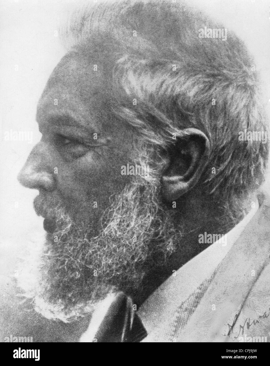 Wilhelm Ostwald Foto Stock