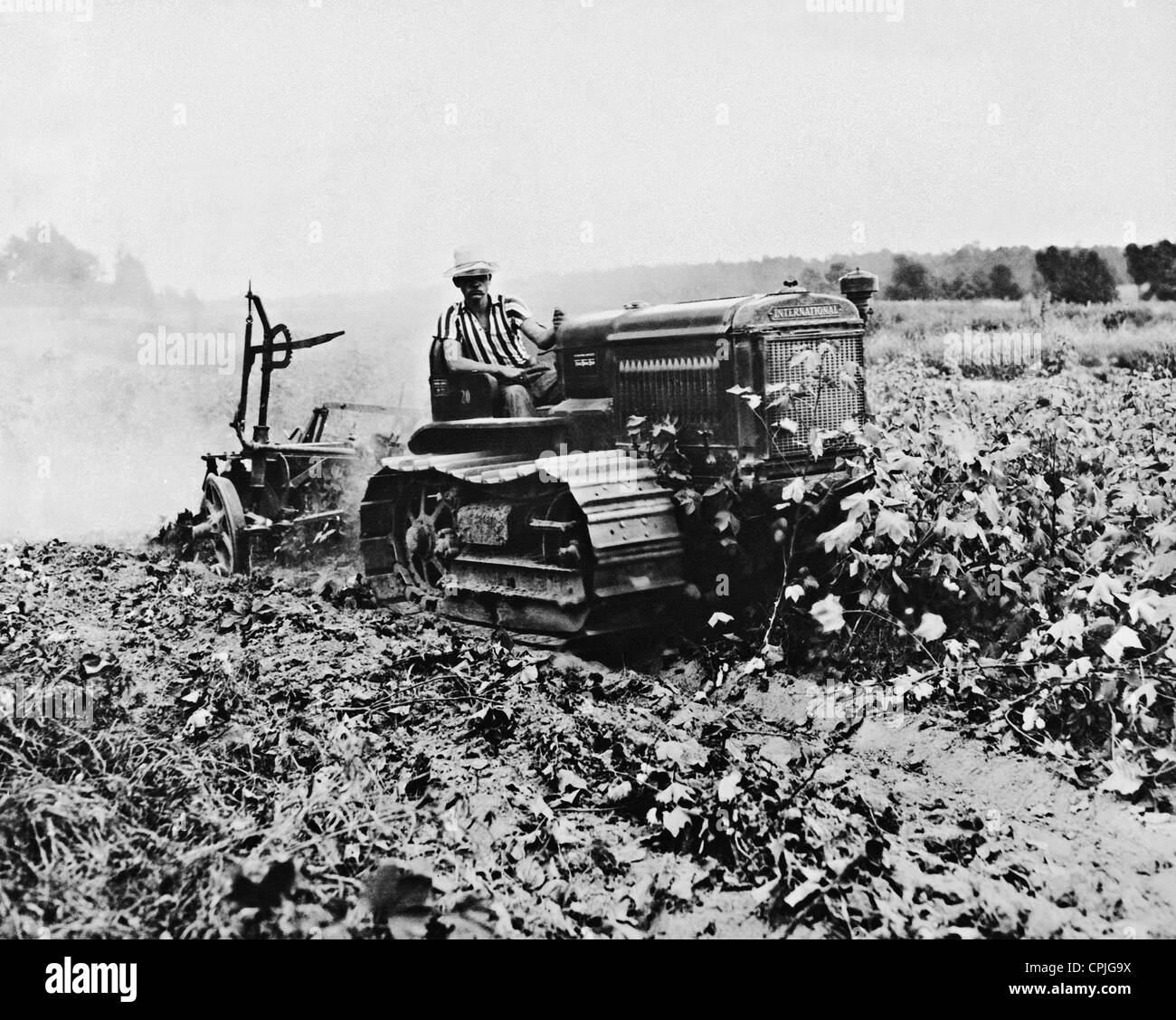 Agricoltore distrugge campo di cotone, 1938 Foto Stock