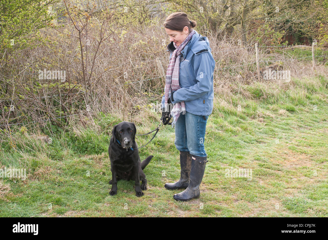 Donna che cammina con un labrador nero su Downs Foto Stock