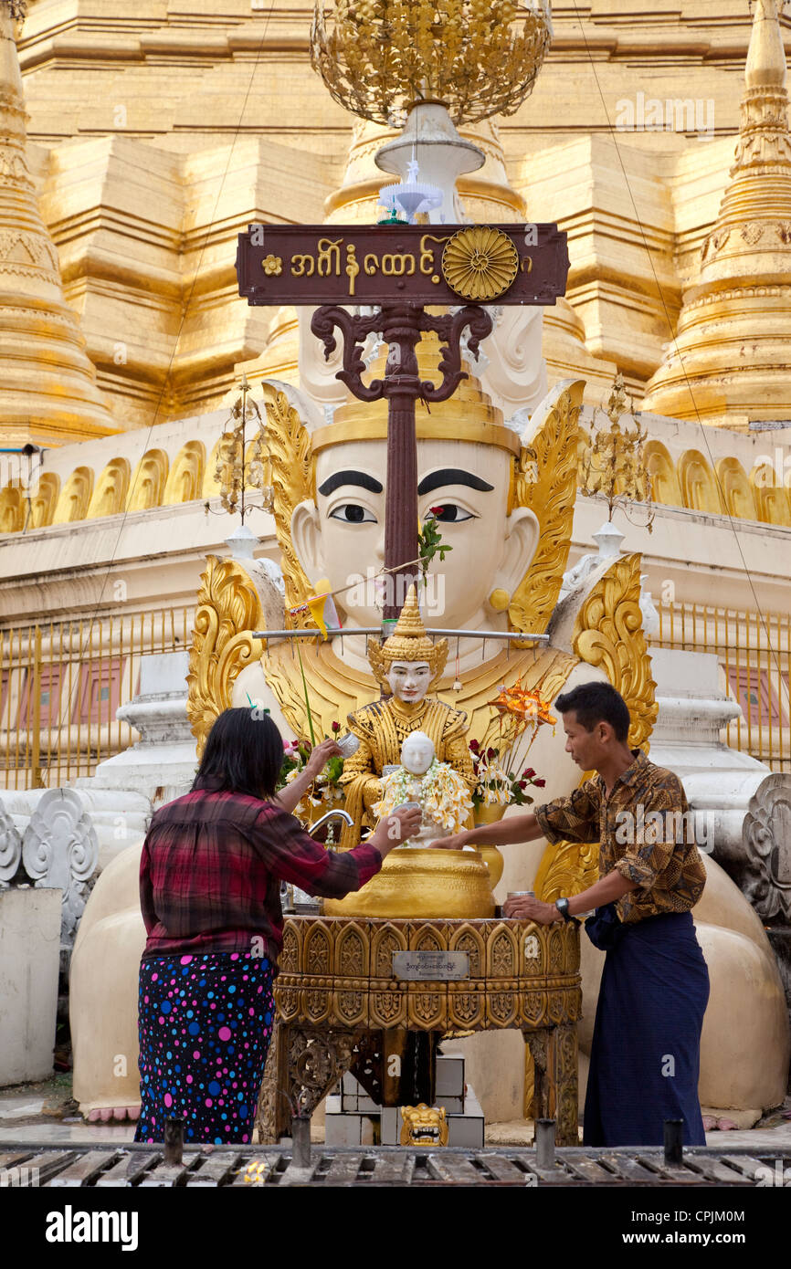 Myanmar Birmania. Shwedagon pagoda Yangon, Rangoon. Adoratori di versare acqua, un segno di purificazione, su piccoli Buddha. Foto Stock