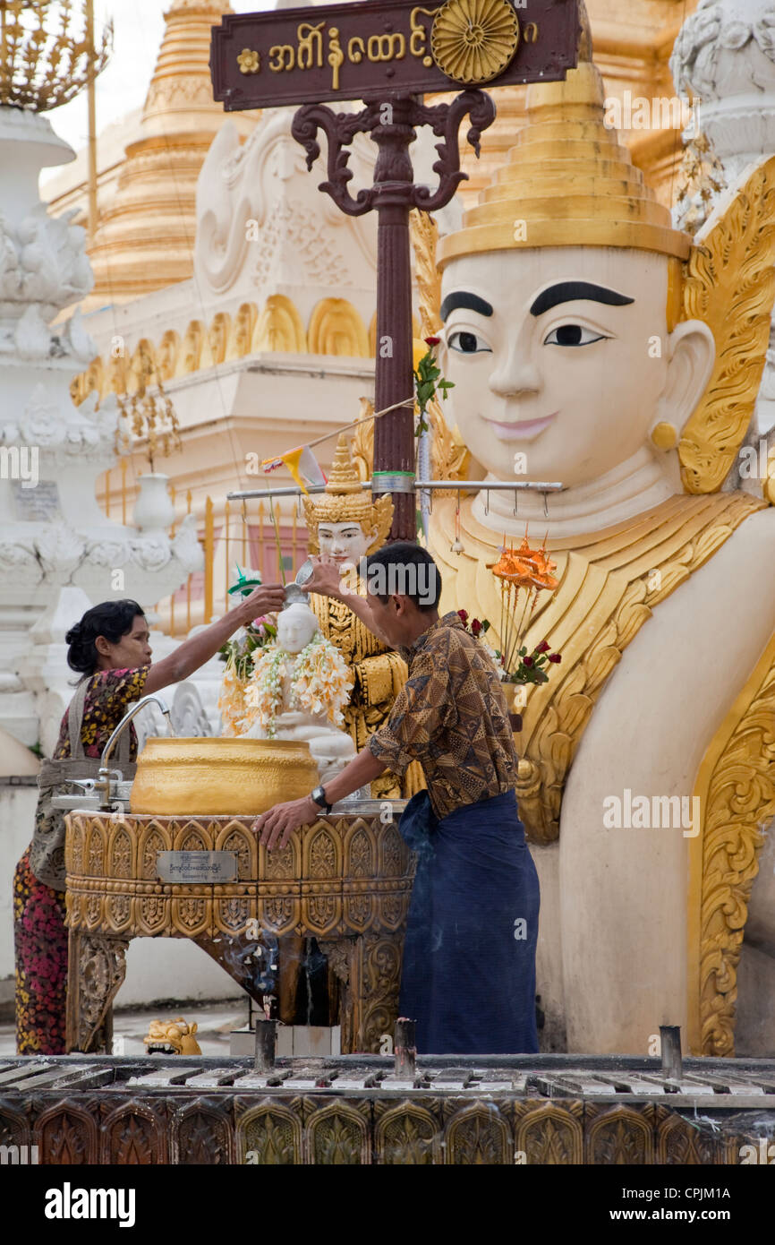 Myanmar Birmania. Shwedagon pagoda Yangon, Rangoon. Adoratori di versare acqua, un segno di purificazione, su piccoli Buddha. Foto Stock
