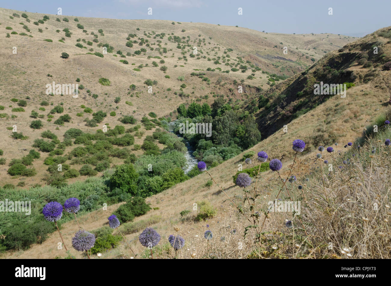 Vista del fiume Giordano da montagna Jordan River trail. Galile superiore. Israele. Foto Stock