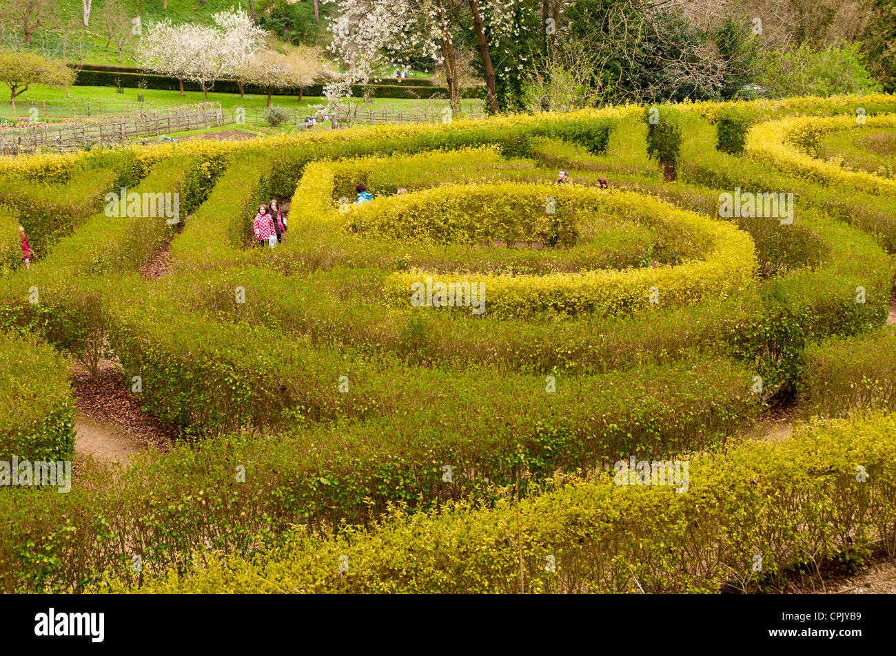 Labirinto nel giardino in stile rococò, Painswick, Gloucestershire, Regno Unito Foto Stock