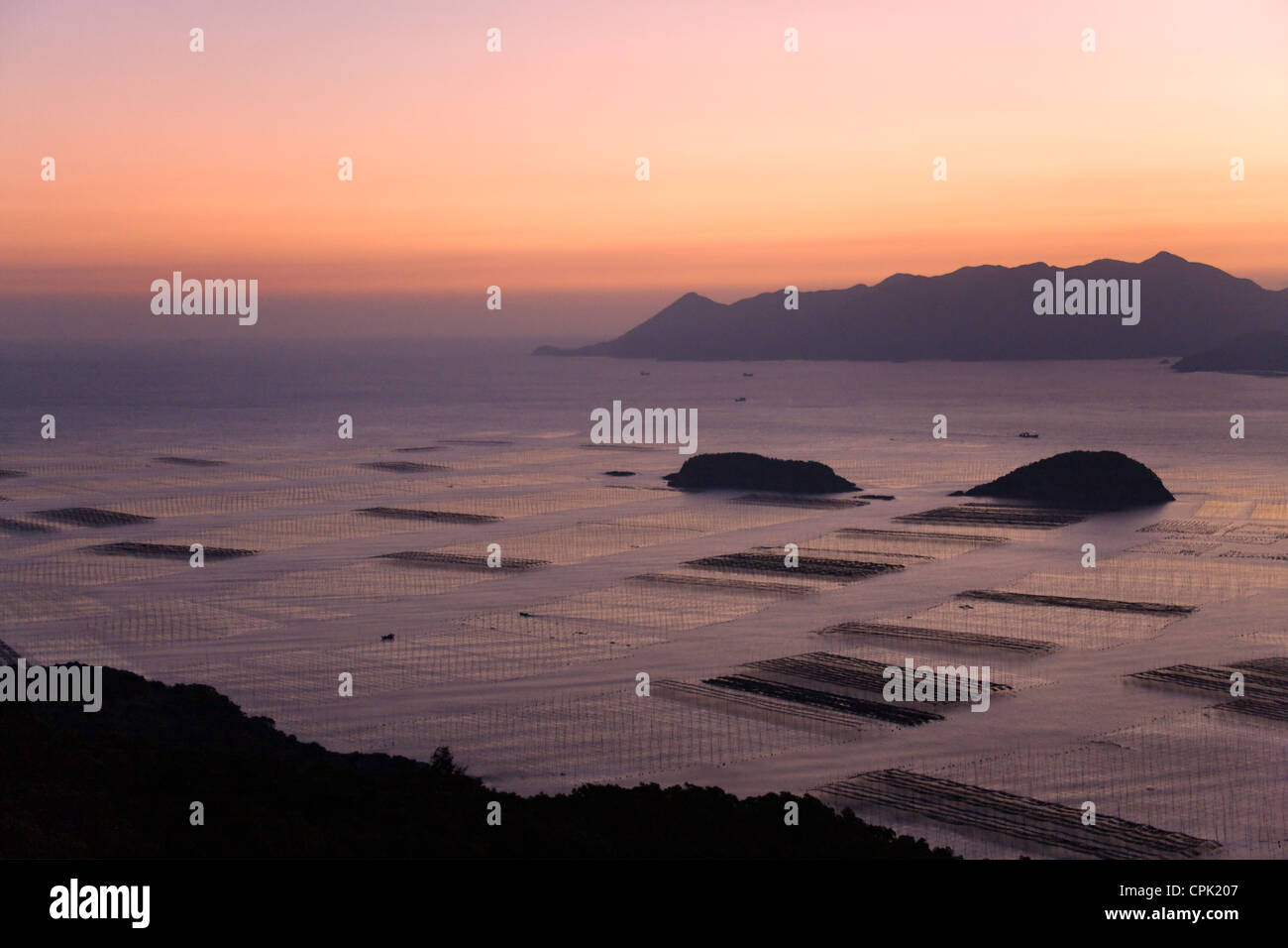 Vista aerea della spiaggia di fango e alghe podere lungo il Mar della Cina orientale di sunrise, Xiapu, Fujian, Cina Foto Stock