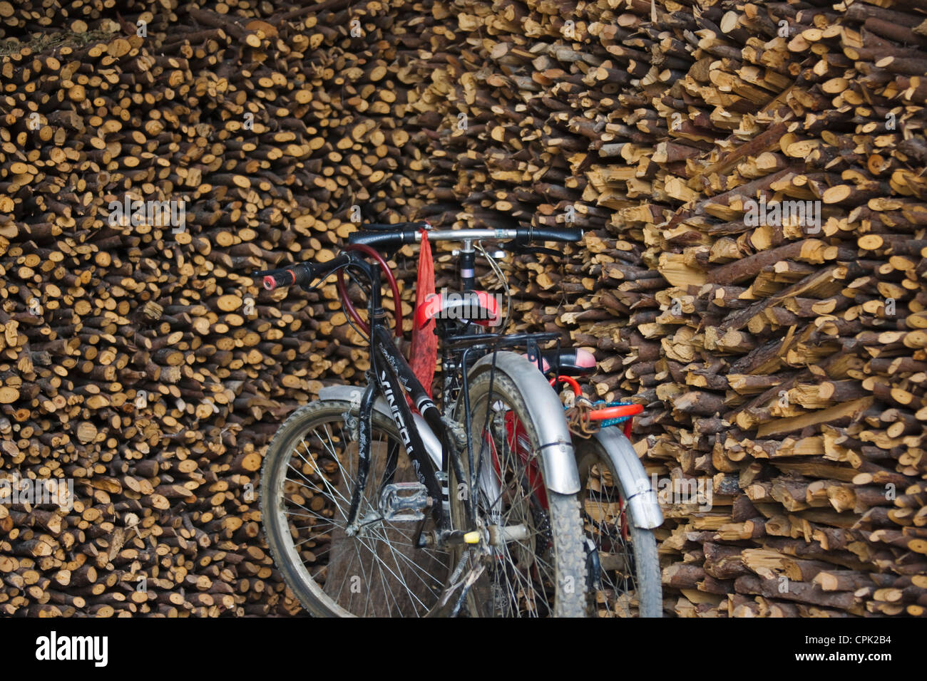 Bicicletta con cataste di legna da ardere, Fujian, Cina Foto Stock