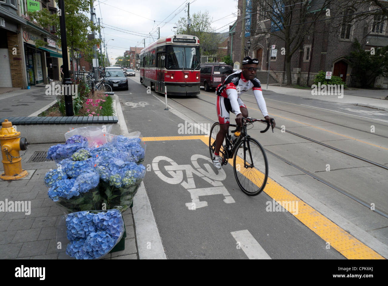 Ciclista in bici sulla corsia Roncesvalles Avenue con 504 Dundas tram e ortensie blu city street scene Toronto Ontario Canada KATHY DEWITT Foto Stock