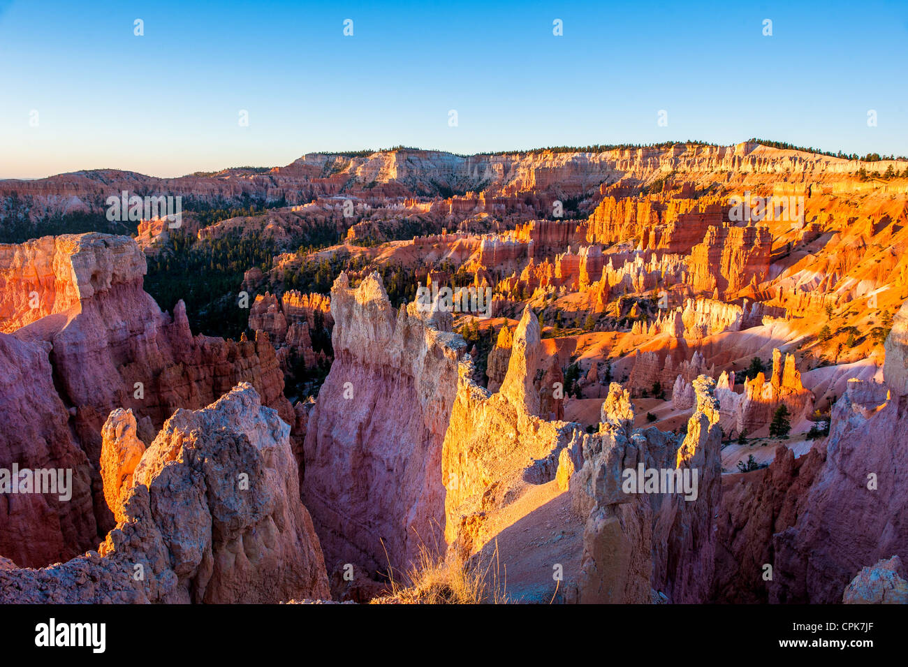 Sunrise nel parco nazionale di Bryce Canyon, Utah, Stati Uniti d'America Foto Stock