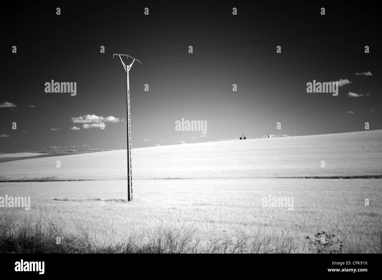 Immagine a infrarossi di un campo di grano e la linea di potenza, Sanlucar la Mayor, Siviglia, Spagna Foto Stock
