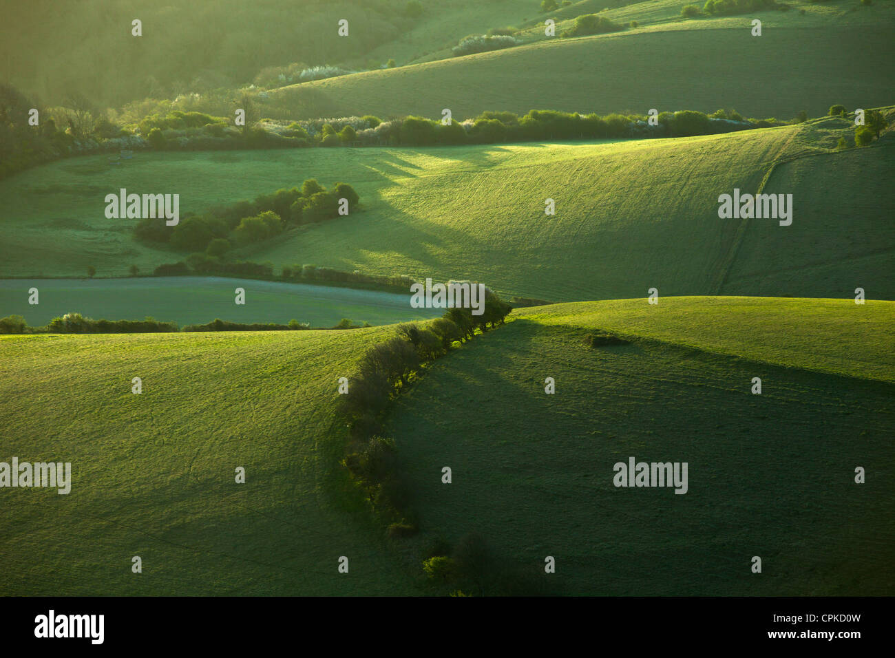 Mattina di primavera nel South Downs National Park in East Sussex, Inghilterra. Foto Stock