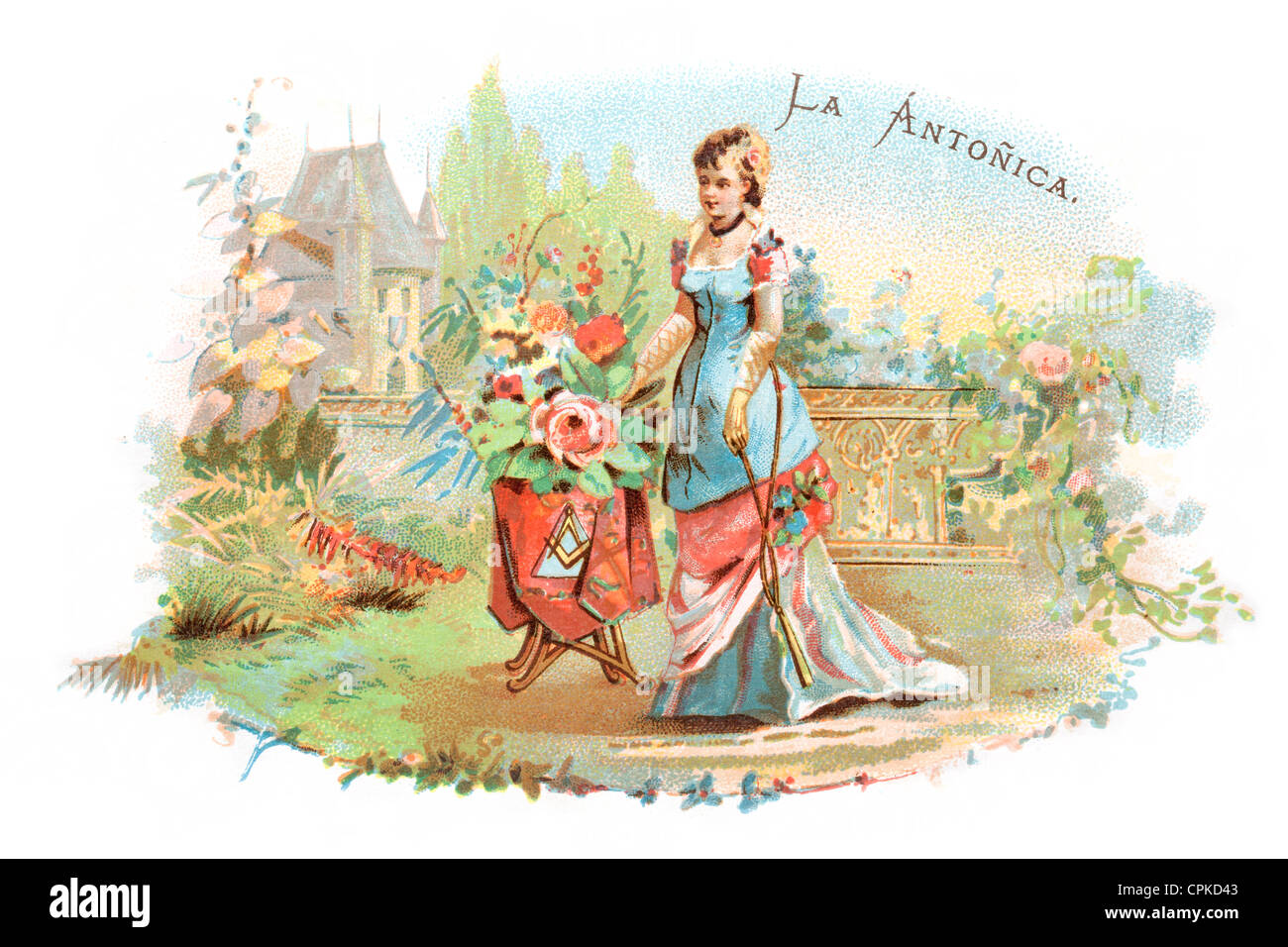 Habana sigari Avana scatola illustrazione vintage La Antonica Cuba Foto Stock