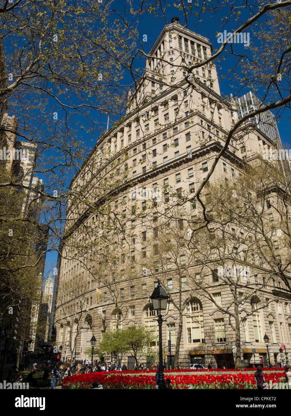 Primavera tulipani in Bowling Green Park, NYC Foto Stock