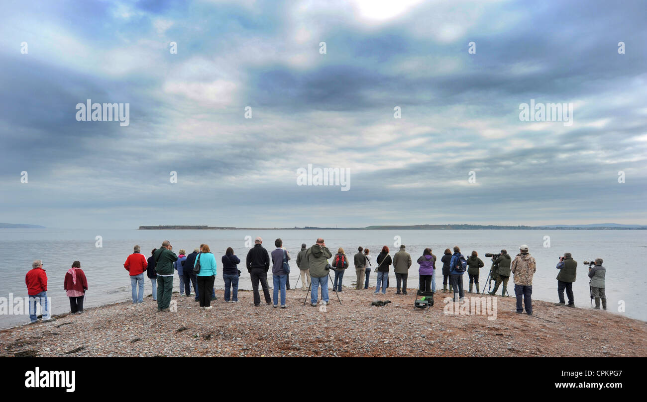 WILDLIFE WATCHERS fotografi si riuniscono per vedere i delfini selvaggi a CHANONRY POINT VICINO A ROSEMARKIE SUL Moray Firth IN SCOZIA UK Foto Stock