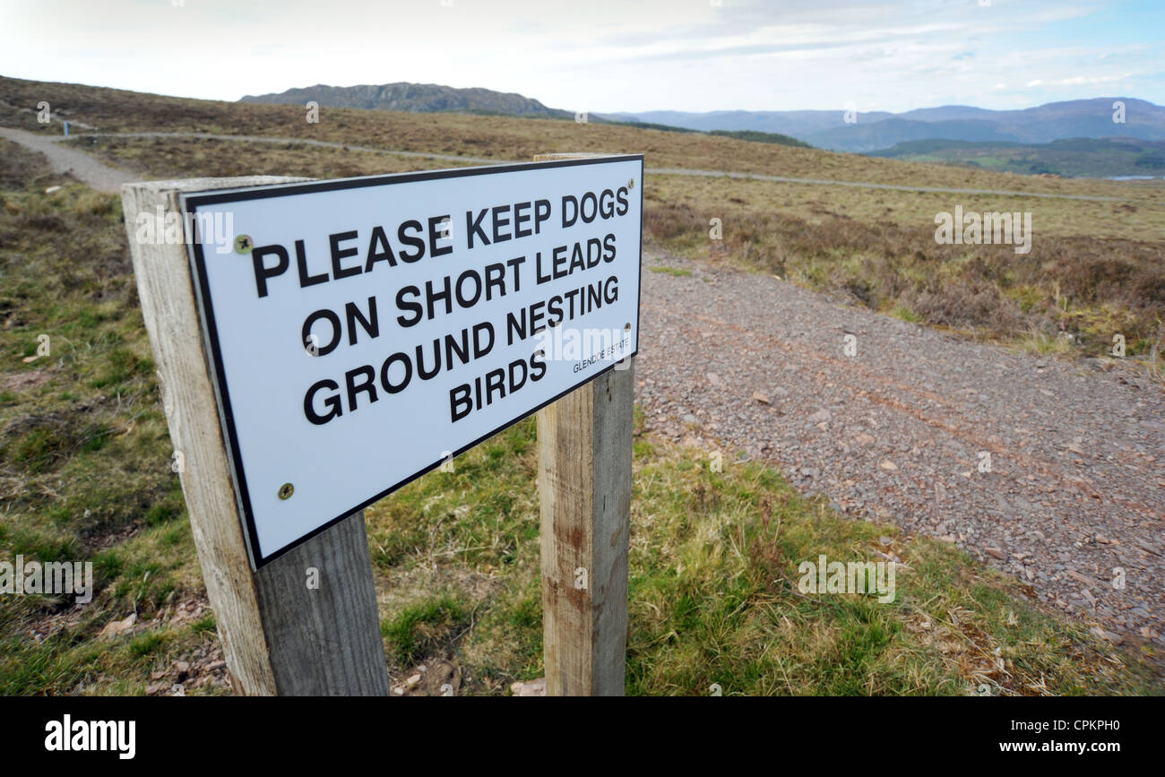 Segnale di avvertimento per tenere i cani in breve porta dovuta alla massa degli uccelli che nidificano nelle Highlands scozzesi UK Foto Stock