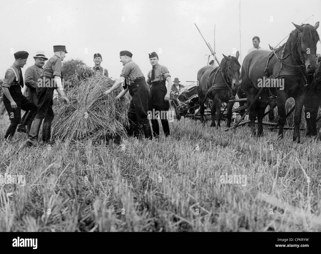 Il gruppo di lavoro di DAF fare lavori agricoli nella zona vicino a Brandenburg, 1938 Foto Stock