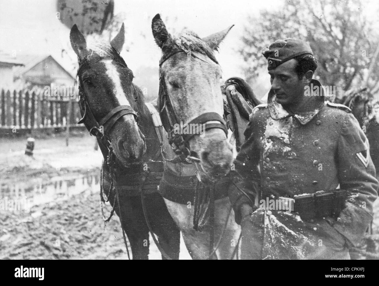 Il tedesco cocchiere in piedi accanto al suo cavallo, 1941 Foto Stock