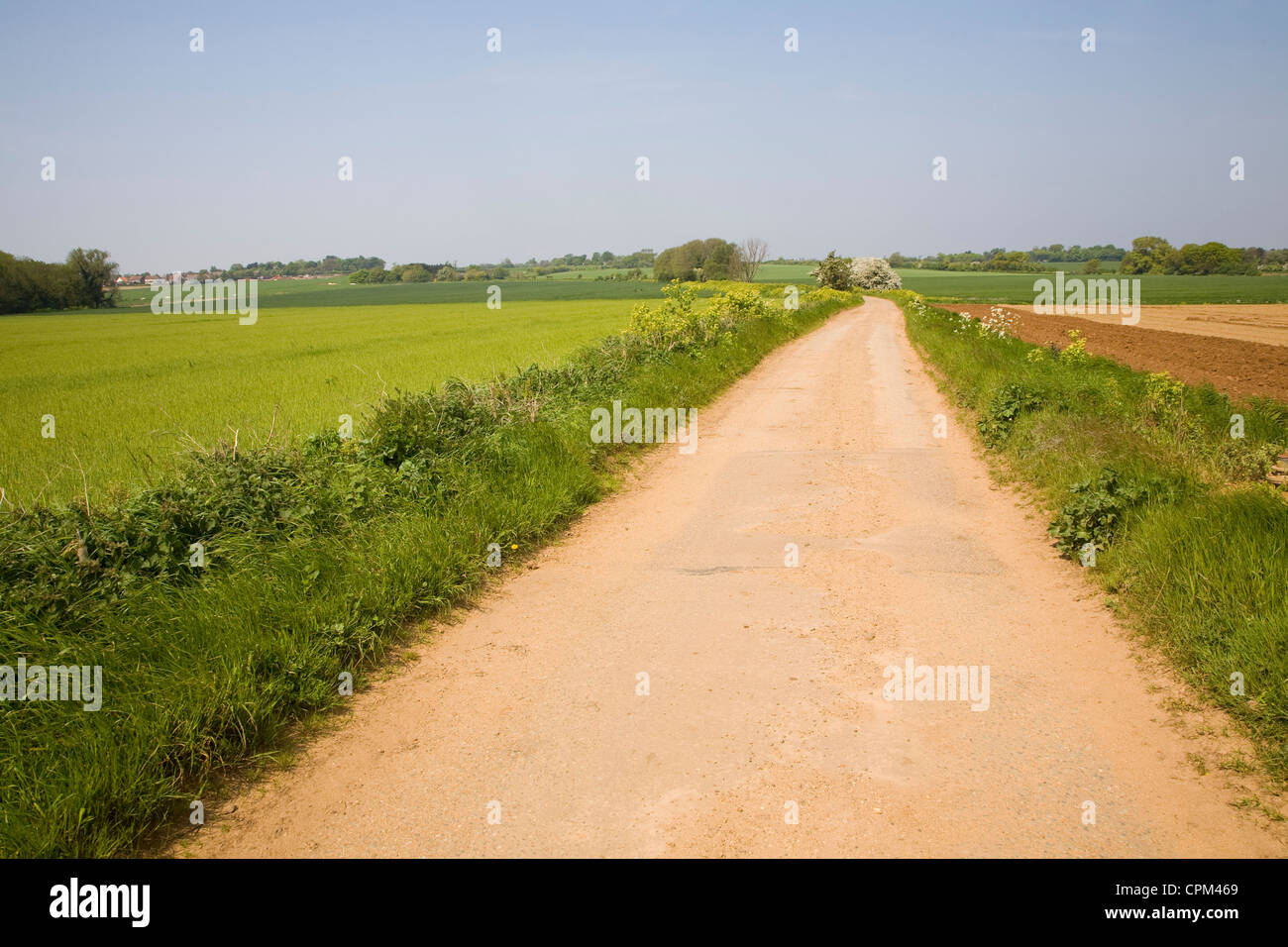 Country Road andando a distanza Foto Stock