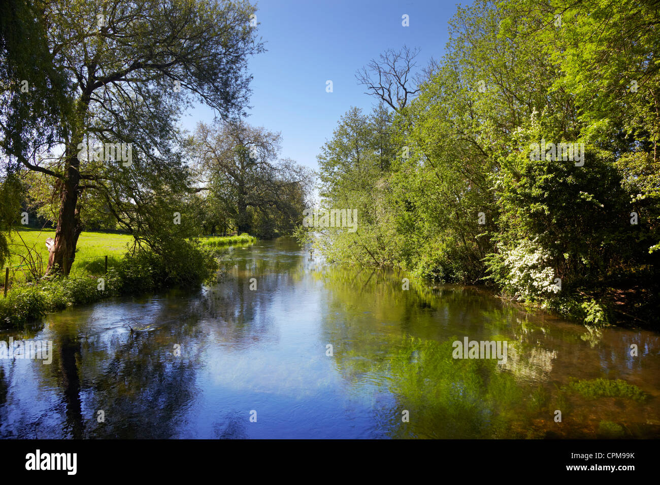 Fiume Itchen a Twyford, Hampshire, Inghilterra. Foto Stock