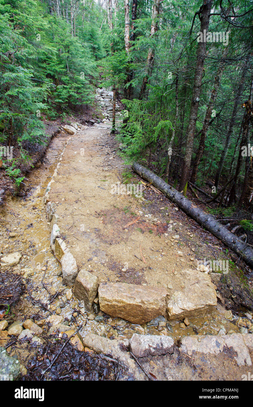 Il drenaggio lungo il Monte sentiero Tecumseh nelle White Mountains, New Hampshire USA. Foto Stock