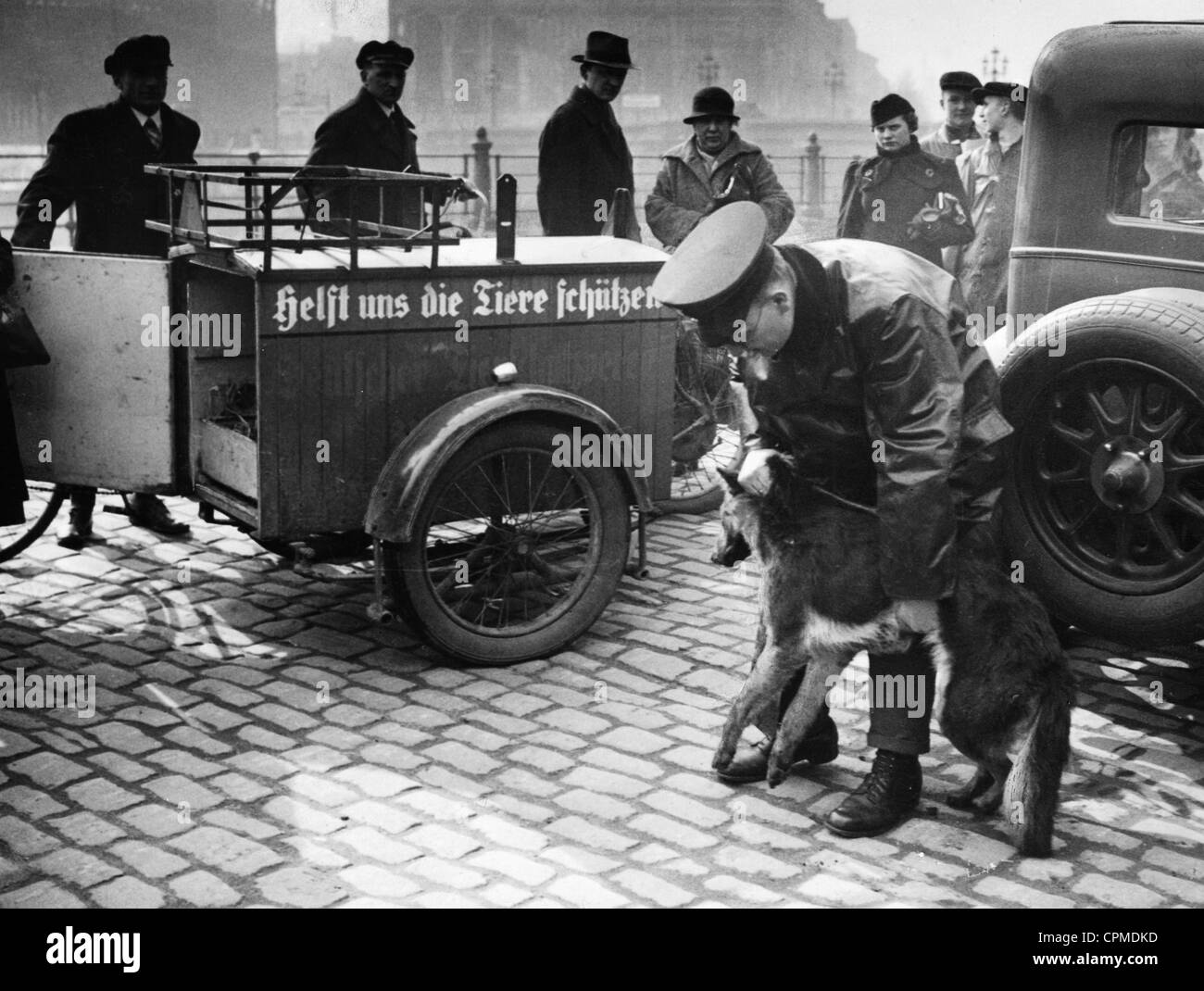 Il salvataggio di un cane ferito da un dipendente della protezione animale Society, 1937 Foto Stock