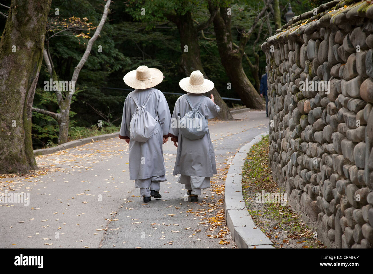 I monaci buddisti seguire il percorso attraverso Gyeryongsan Parco Nazionale in Chungcheongnam-do, la Corea del Sud. Foto Stock