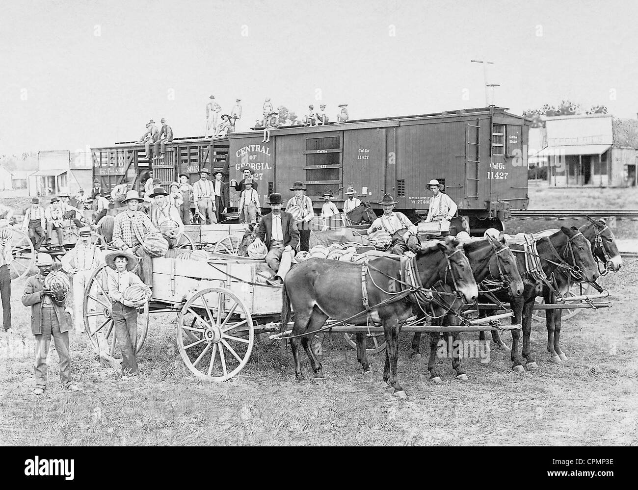 Il carico di cocomeri per il trasporto ferroviario Foto Stock
