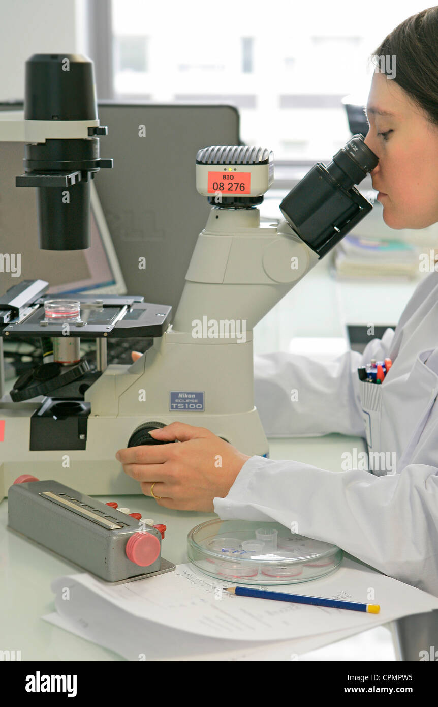 Microscopio a mano immagini e fotografie stock ad alta risoluzione - Alamy