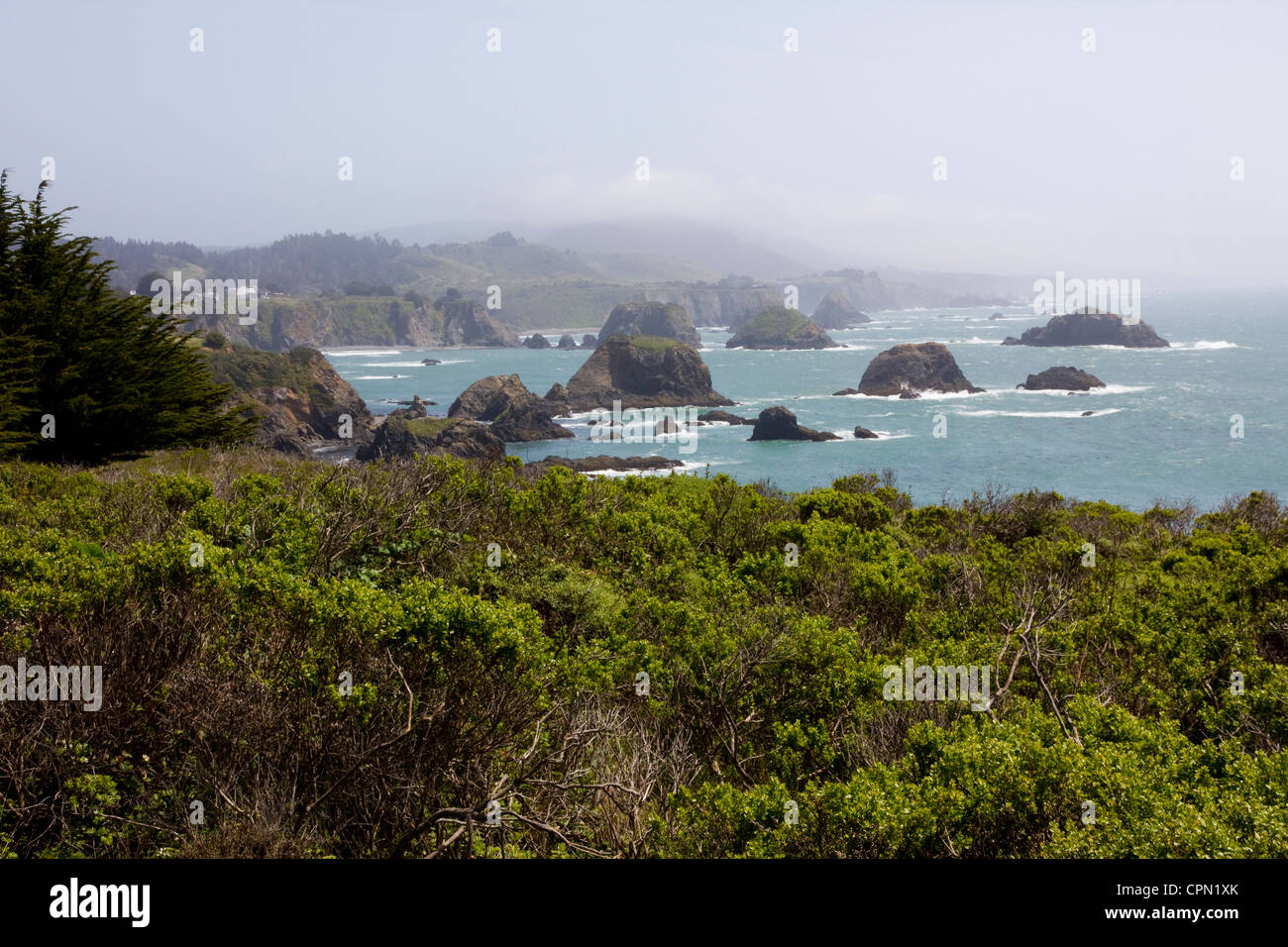 Il robusto, rock-disseminata Mendocino County costa vicino alla città di Mendocino, CA, Stati Uniti d'America. Foto Stock