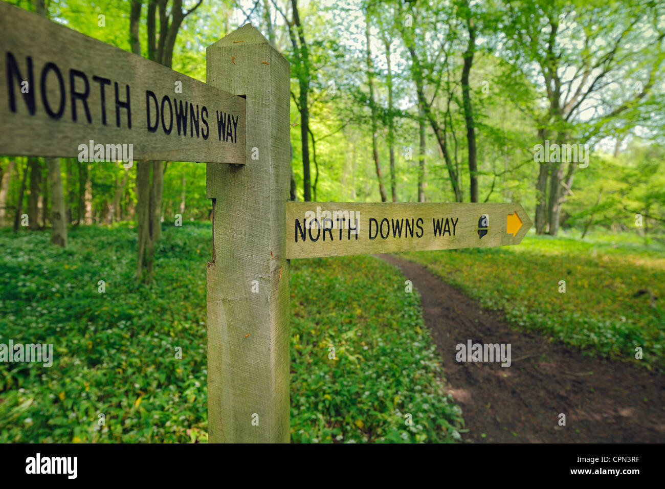 North Downs Way signpost. Foto Stock