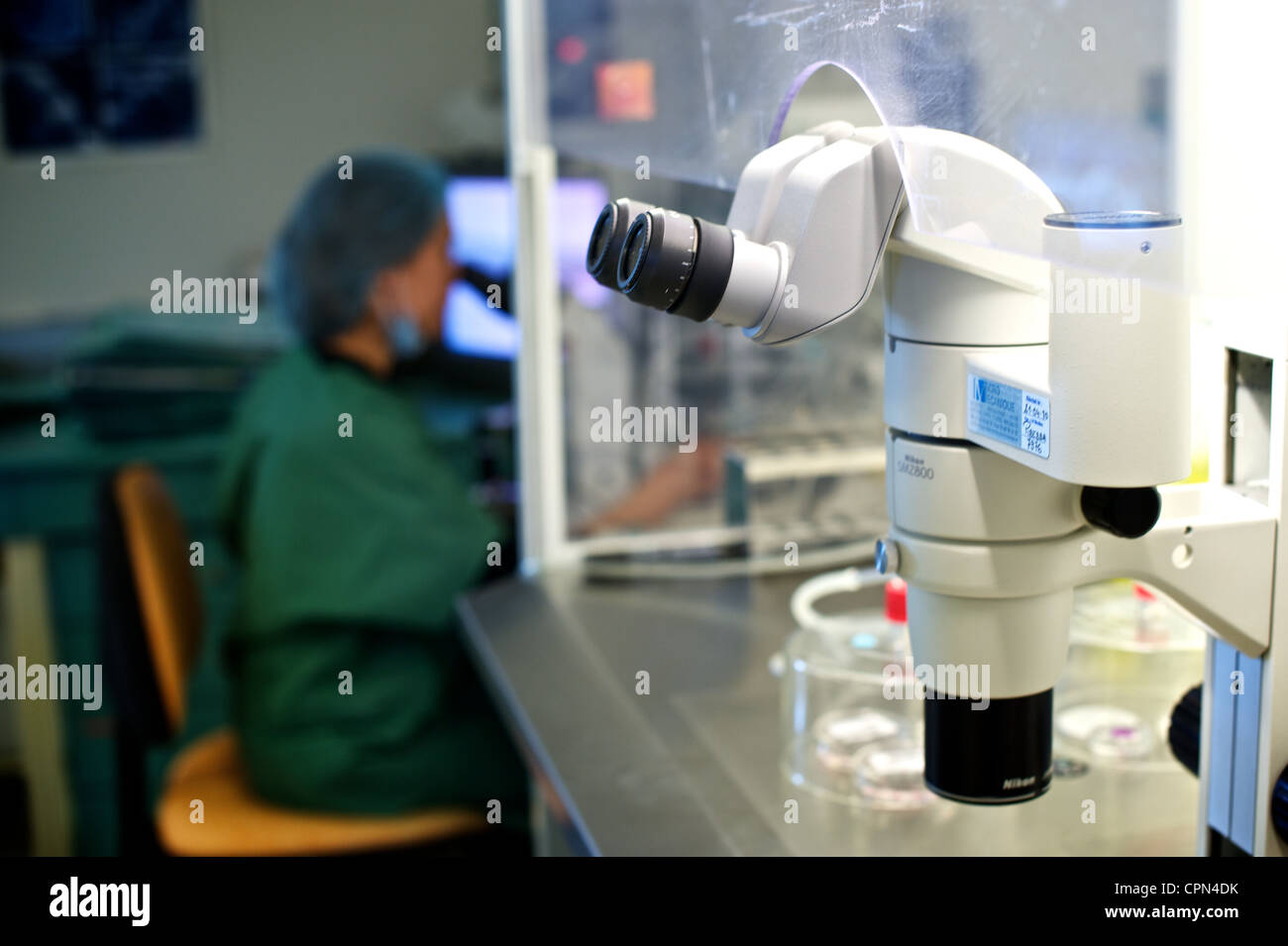 FECONDAZIONE IN VITRO Foto Stock