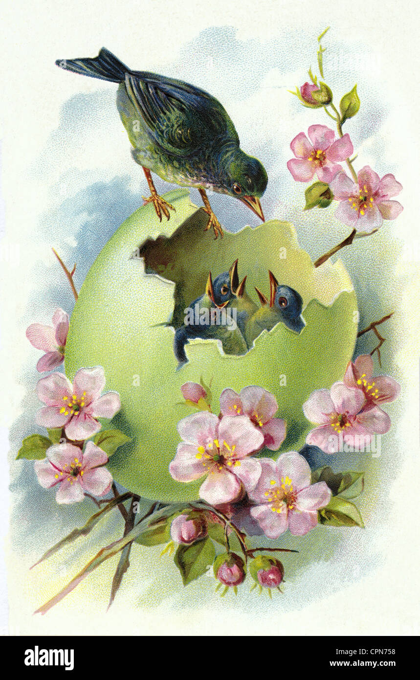 Pasqua, uovo di Pasqua, nido d'uccello con uccelli giovani, Germania, 1907, diritti aggiuntivi-clearences-non disponibile Foto Stock