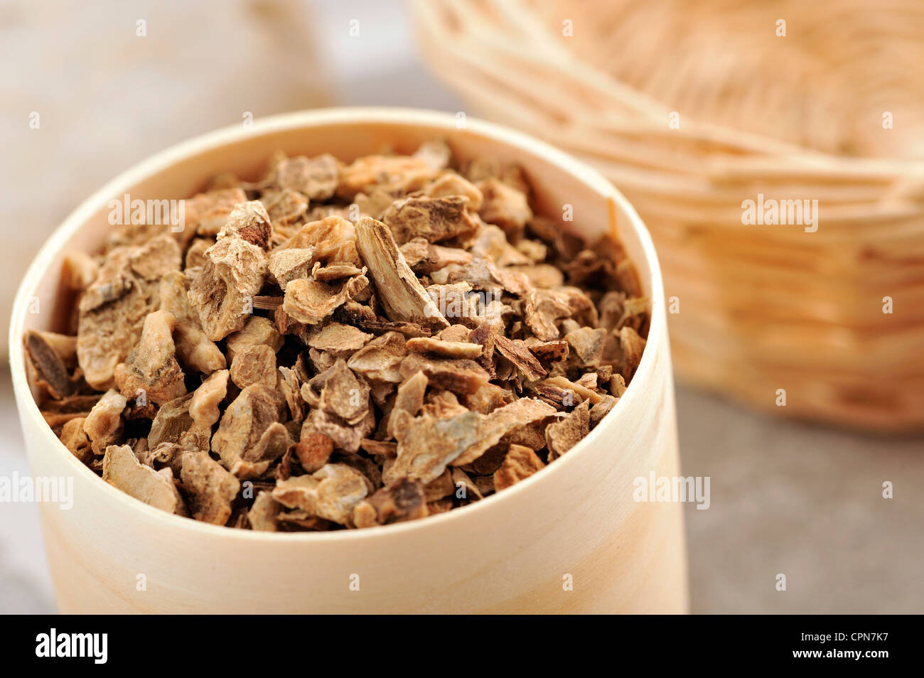 HARPAGOPHYTUM Foto Stock