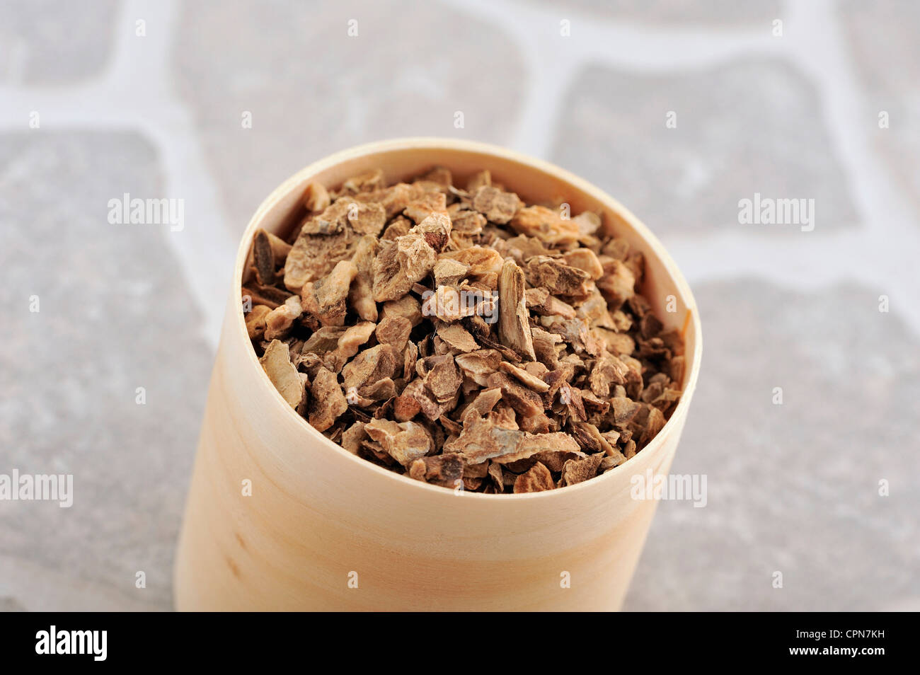 HARPAGOPHYTUM Foto Stock