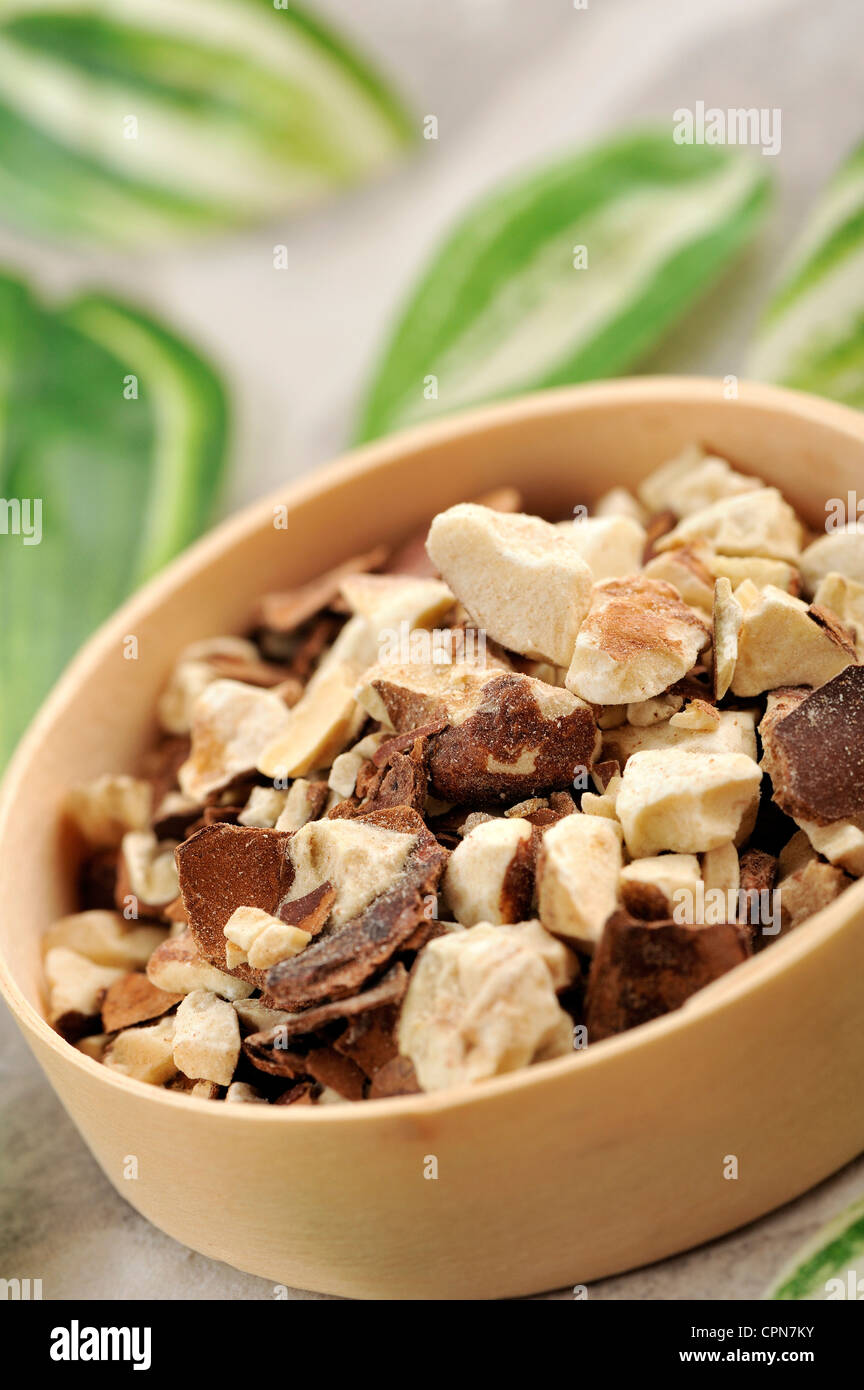 IPPOCASTANO Foto Stock