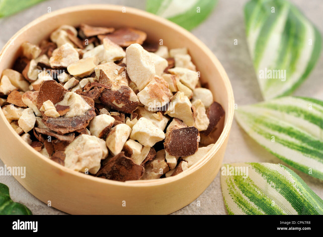 IPPOCASTANO Foto Stock