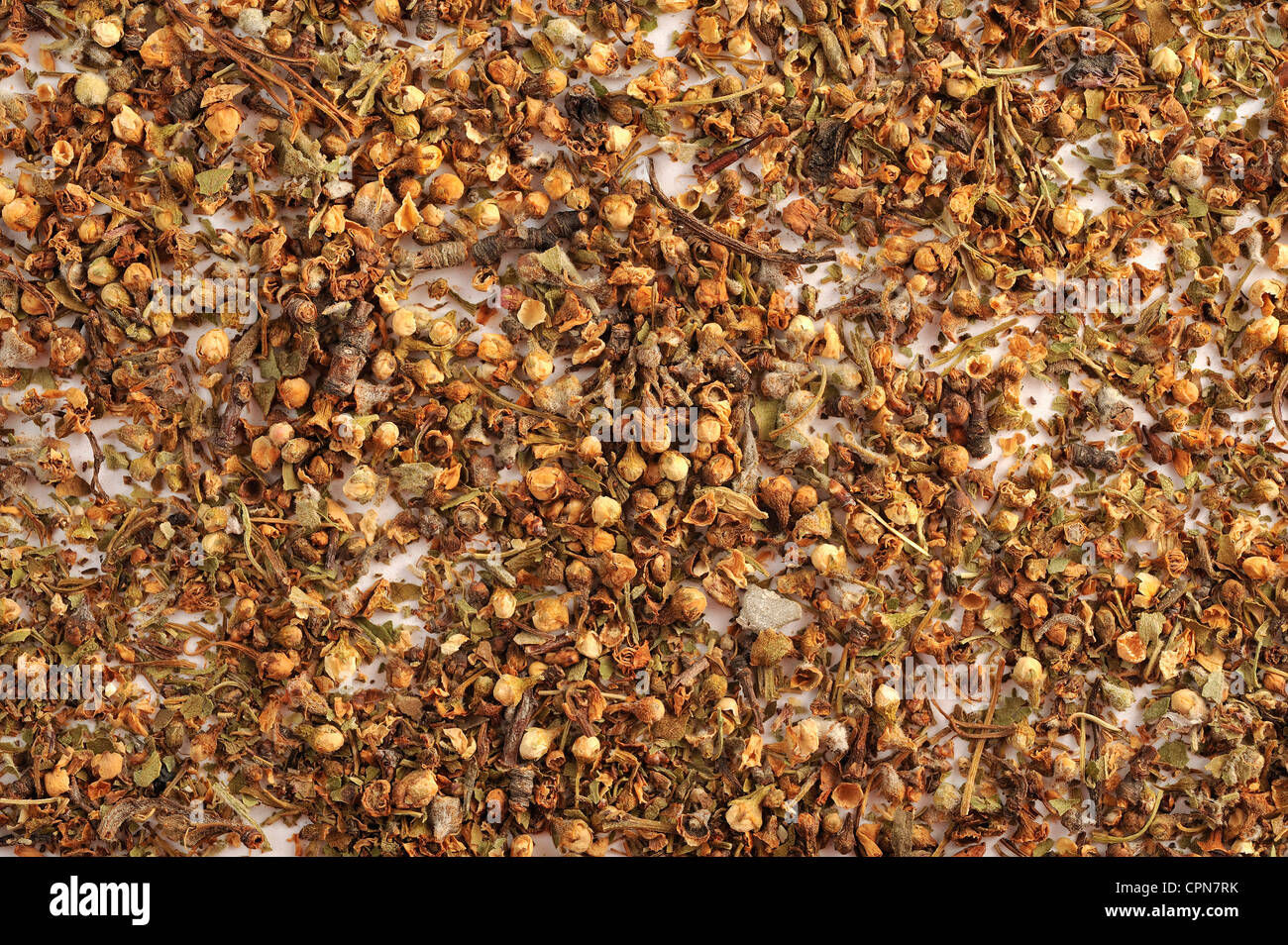 WHITEHORN Foto Stock