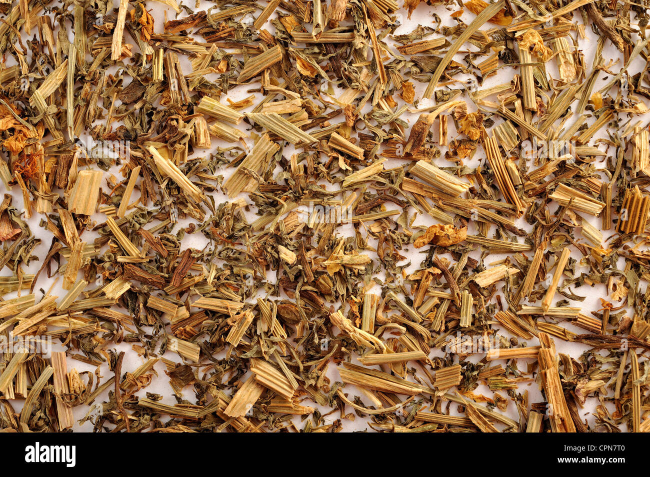 In California il papavero Foto Stock