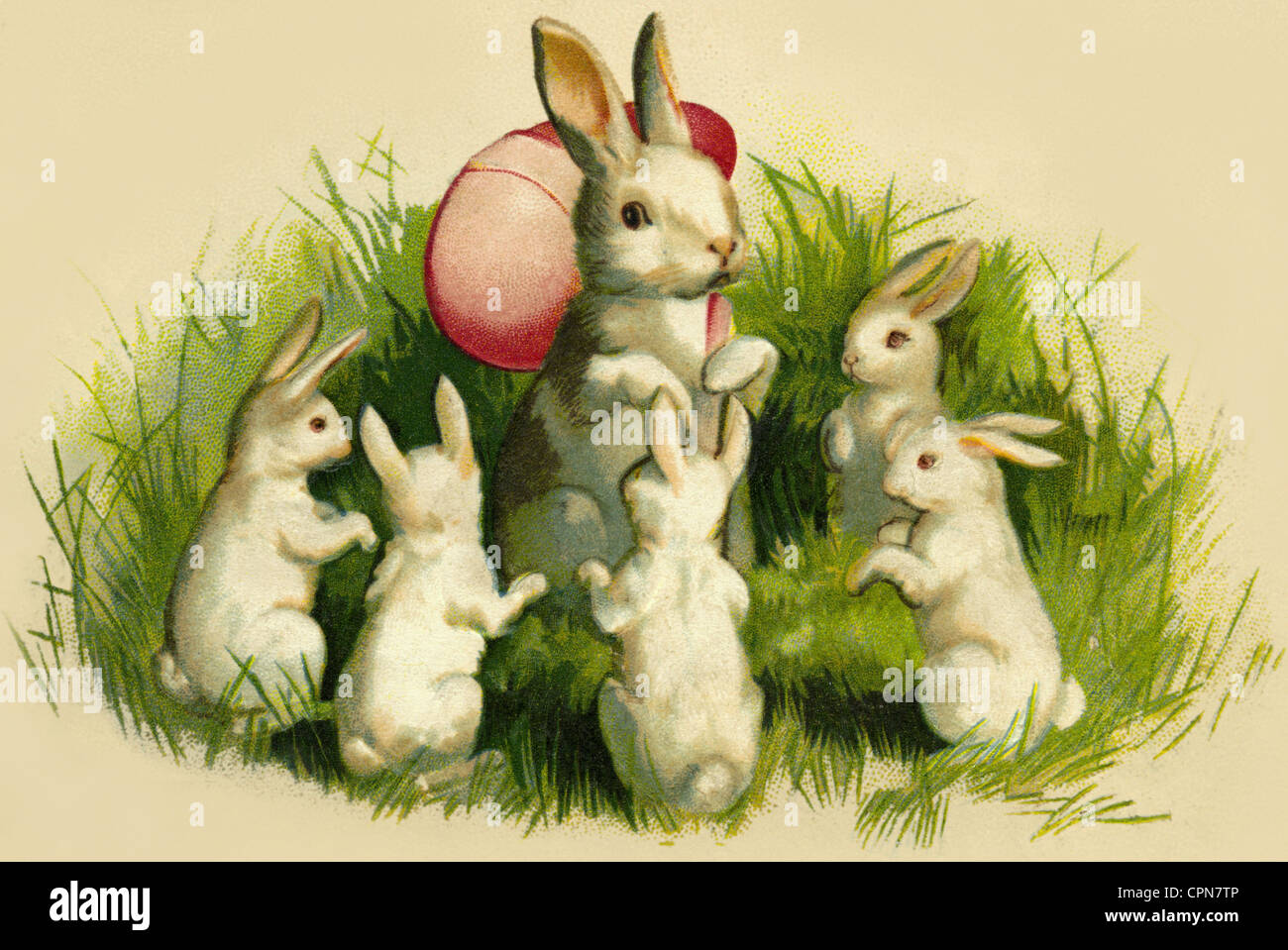 Pasqua, coniglietto pasquale, coniglietti pasquali con uovo di Pasqua,  Belgio, 1910, diritti aggiuntivi-clearences-non disponibile Foto stock -  Alamy