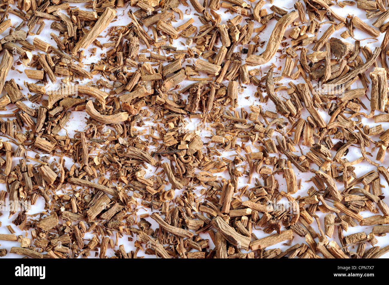 VALERIANA Foto Stock